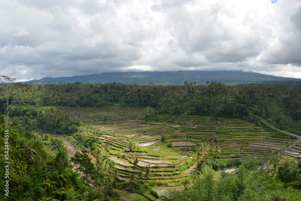 Reisfelder, Bali, Jatiluwih, Tegalalang, Sidemen, Vulkan, Agung, Lake, Berge, Mountain, Danaur, Batur 