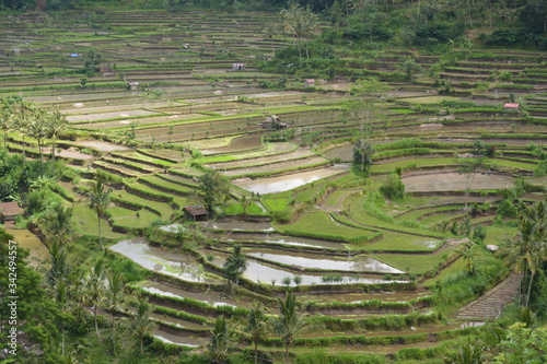 Reisfelder, Bali, Jatiluwih, Tegalalang, Sidemen, Vulkan, Agung, Lake, Berge, Mountain, Danaur, Batur  photo