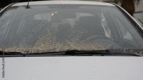 Windshield wipers on the windshield of a car under a layer of dust