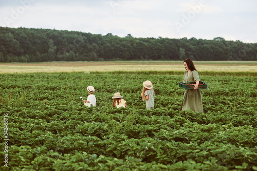 Beautiful young caucasian mother with children in a linen dress with a basket of strawberries gathers a new crop and has fun with the children