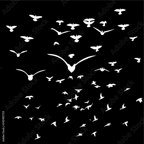 flock of birds graphic design vector art