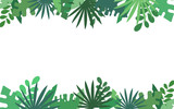 Green floral horizontal frame with tropical leaf on white isolated background. Flat style illustration. Good for banner, card, greeting.
