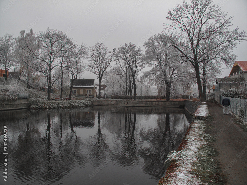 Fototapeta premium lake in winter