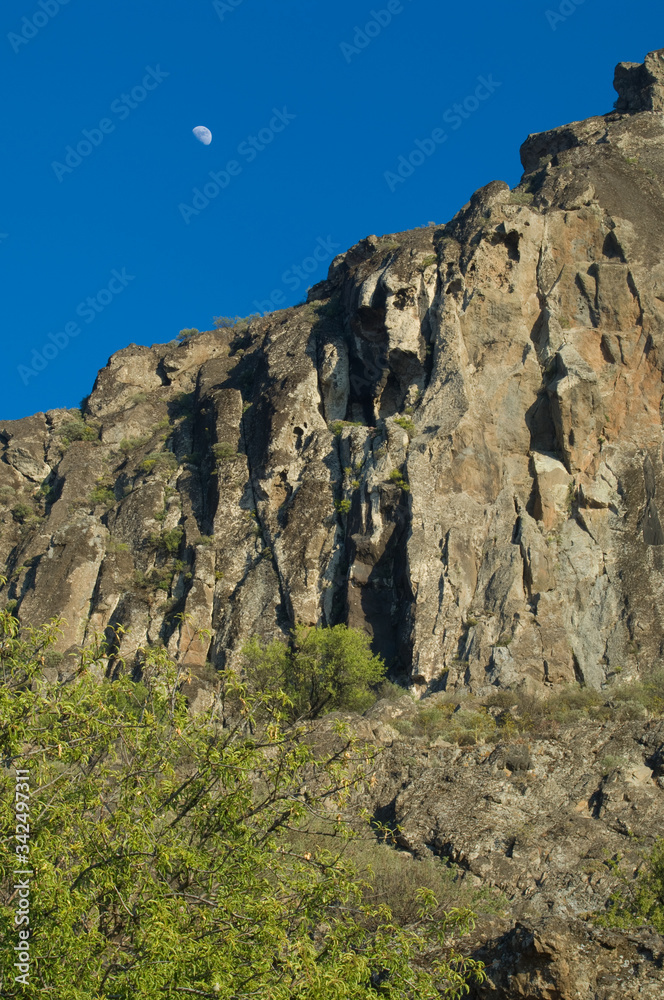 Fototapeta premium Moon over a cliff and almond Prunus dulcis in the foreground. The Roque Nublo Natural Monument. Tejeda. Gran Canaria. Canary Islands. Spain.