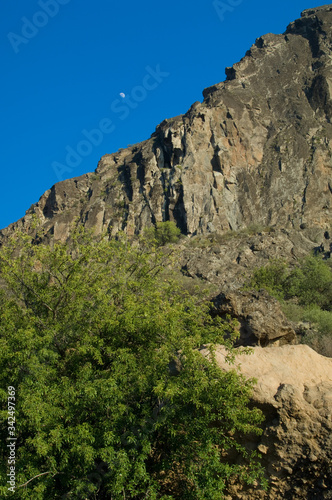 Moon over a cliff and almond Prunus dulcis in the foreground. The Roque Nublo Natural Monument. Tejeda. Gran Canaria. Canary Islands. Spain.
