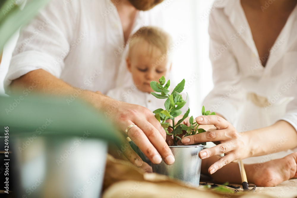 © jul14ka - Happy family working at home. Transplanting plants with their child