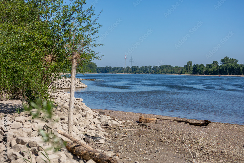The river that stretches through the landscape near Worms in Germany The river that stretches through the landscape near Worms in Germany