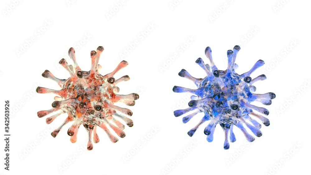The coronavirus model rotates slowly, a virus that infects humans and animals can cause a pandemic, it is better to quarantine infected ones The coronavirus model rotates slowly, a virus that infects humans and animals can cause a pandemic, it is better to quarantine infected ones
