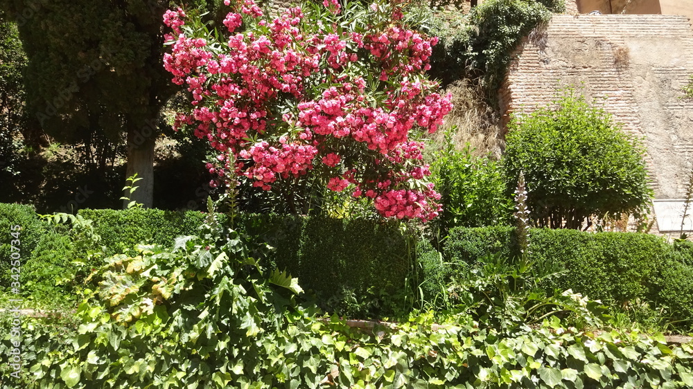 Granada is the famous ancient city in Andalusia, Spain Granada is the famous ancient city in Andalusia, Spain