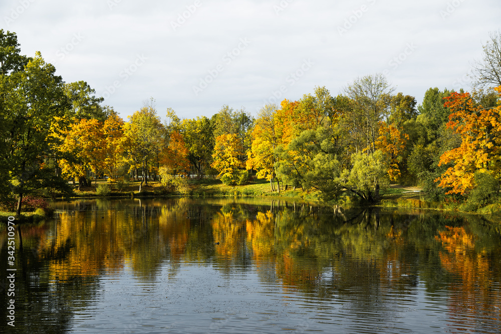 colorful autumn landscape, lake with reflection of trees