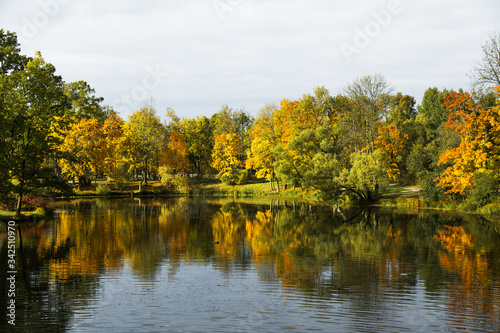 colorful autumn landscape, lake with reflection of trees