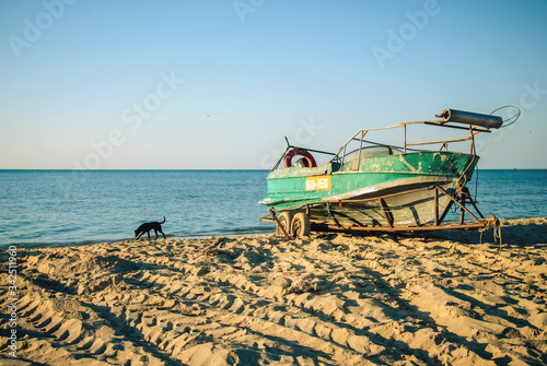 Shabby boat on the sea shore and black stray dog