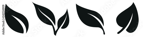 Leaf icon set.Ecology nature element vector icon collection.Leaf set design.Vector illusstration photo