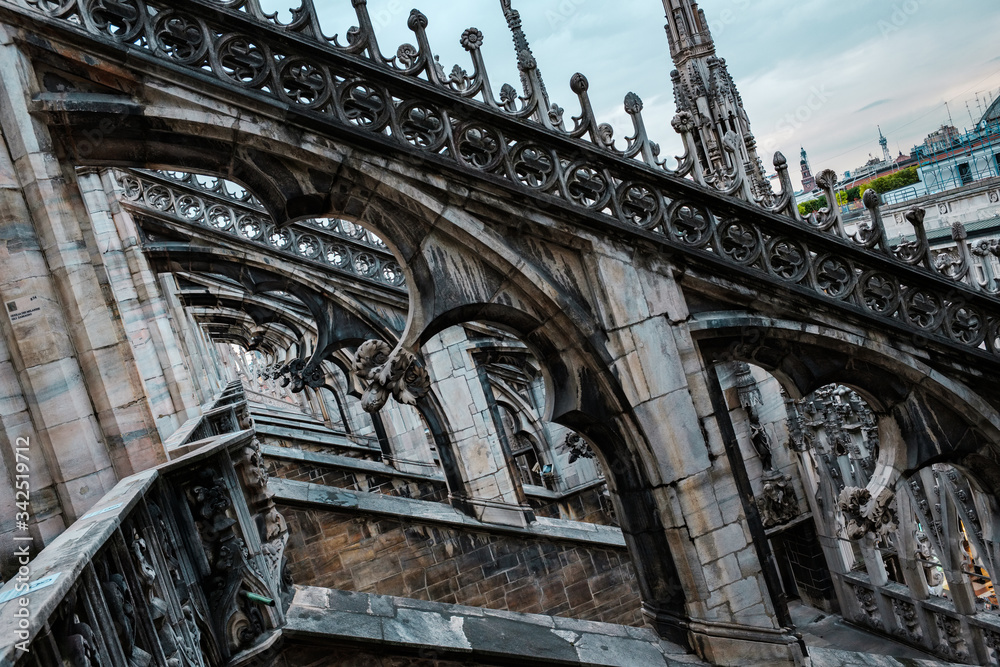 Structure and details of the roofs of the cathedral of Milan