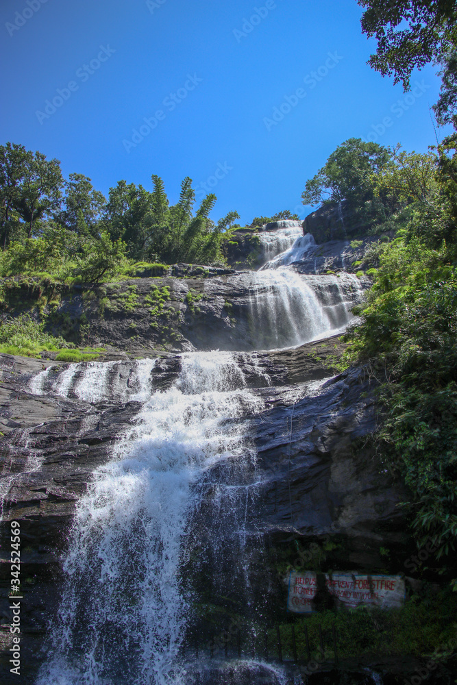 Obraz premium waterfall in the forest