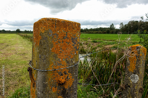 old green concrete fence post for a pasture