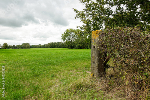 Old green concrete fence post for a pasture