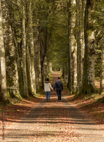 Couple walking in a forest holding hands with leaves on the ground and high trees on the background