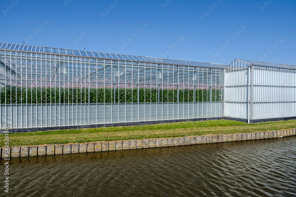 View of a modern high tech industrial greenhouse for tomatoes in the Netherlands View of a modern high tech industrial greenhouse for tomatoes in the Netherlands