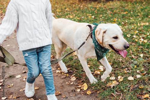 Little beautiful girl with dog labrador. © zadorozhna