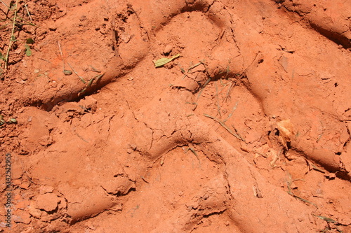 tire tracks in red dirt