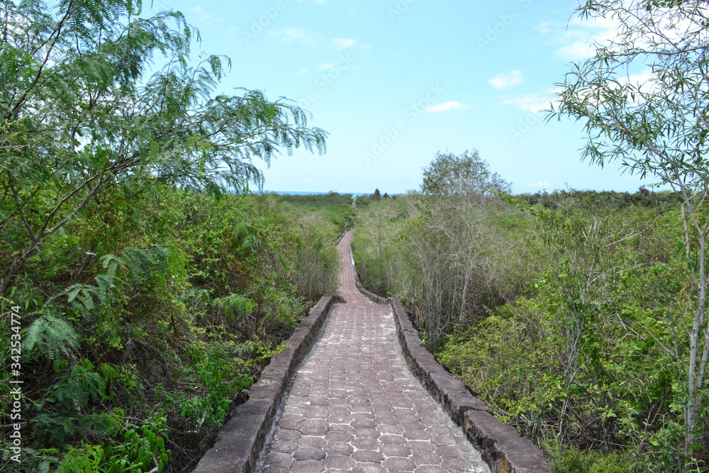 Galápagos Galápagos