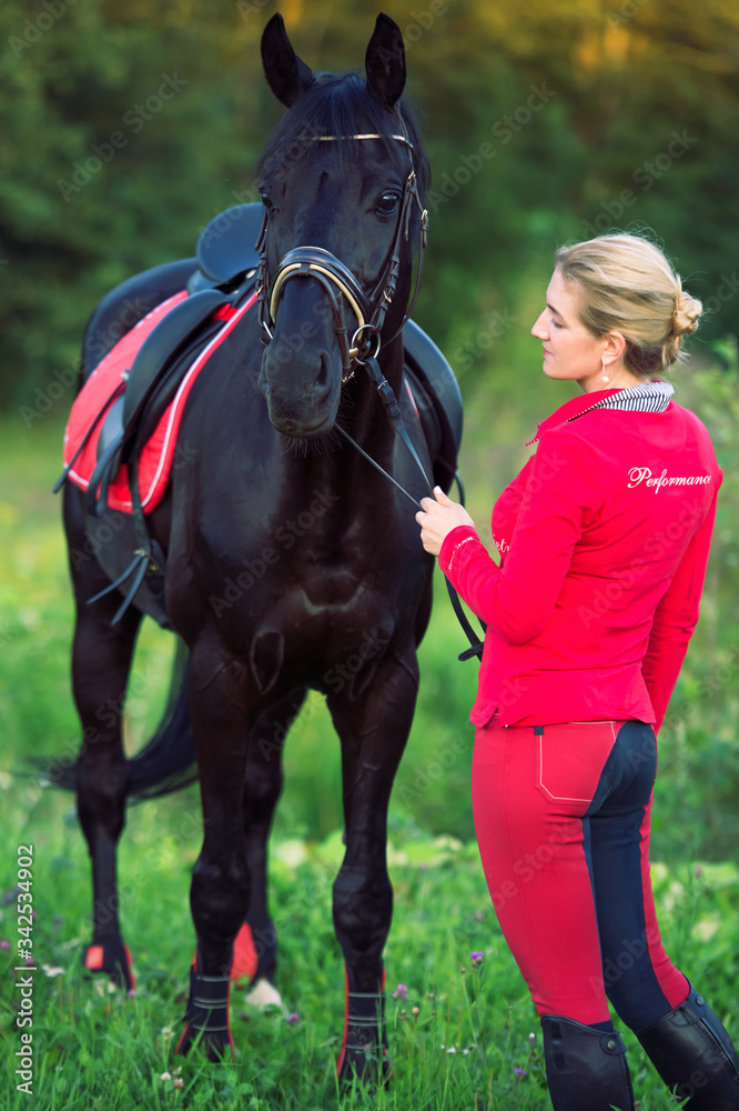 Obraz premium rider women dressed in equestrian wear with black horse posing in green meadow.