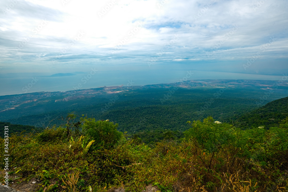 Naklejka premium Ferest National Park at Kempot Cambodia