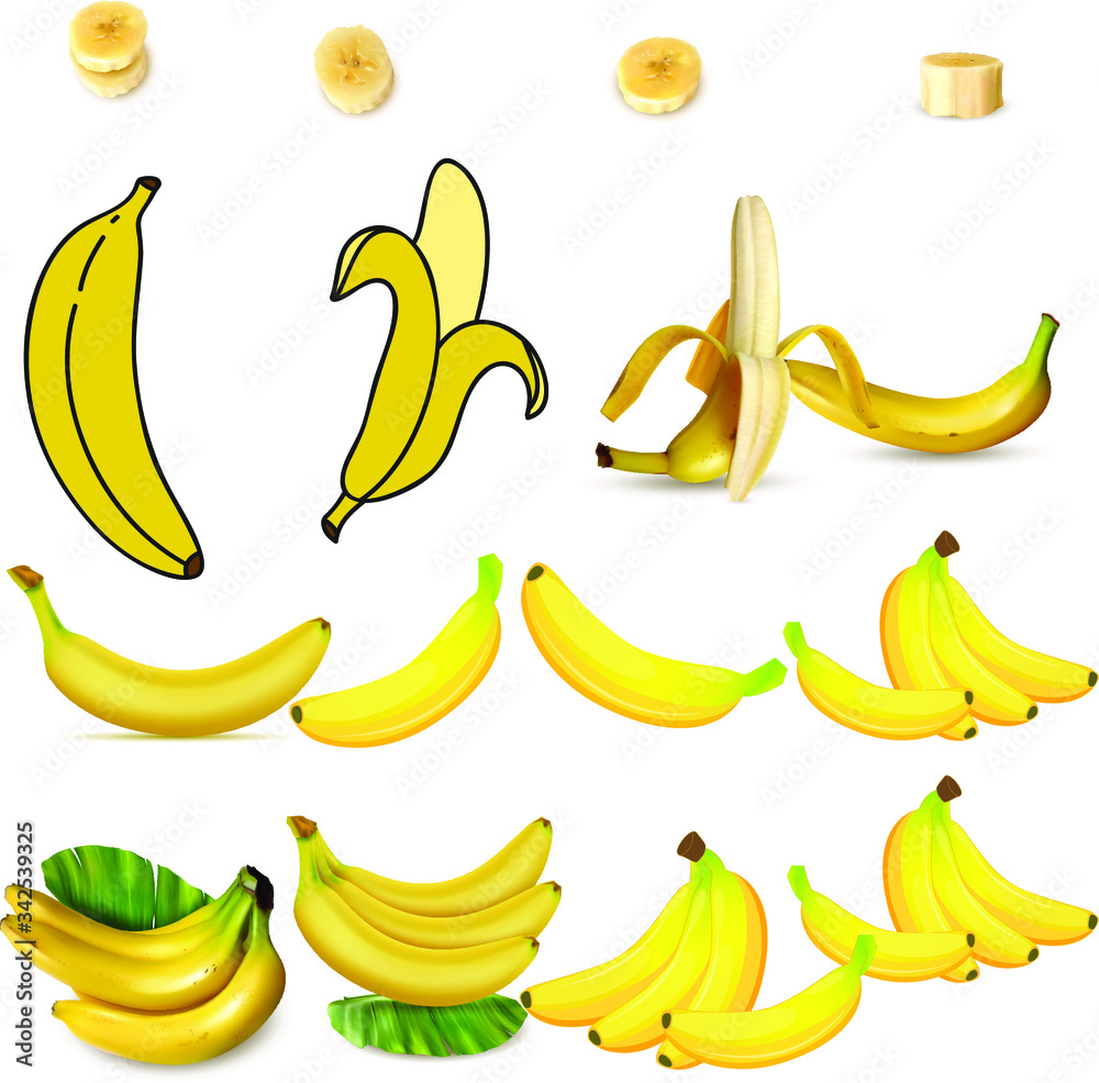 Set of realistic illustration bananas. Banana, half peeled banana, a bunch of bananas, Tropical fruits. Isolated vector illustration icons set