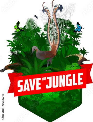 vector jungle rainforest emblem with platypus, Lyrebird, Echidna and butterflies