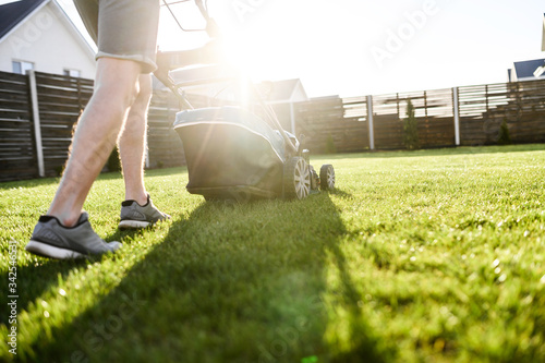 Bottom view on male legs and lawn mower on the green grass in warm sun light. Care about backyard photo