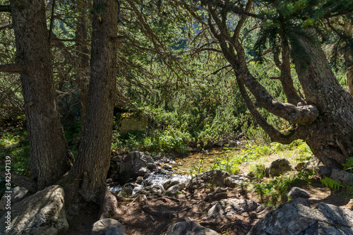 Hiking trail for Malyovitsa peak  Rila Mountain  Bulgaria