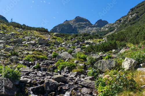 Summer landscape of Malyovitsa peak, Rila Mountain, Bulgaria © Stoyan Haytov