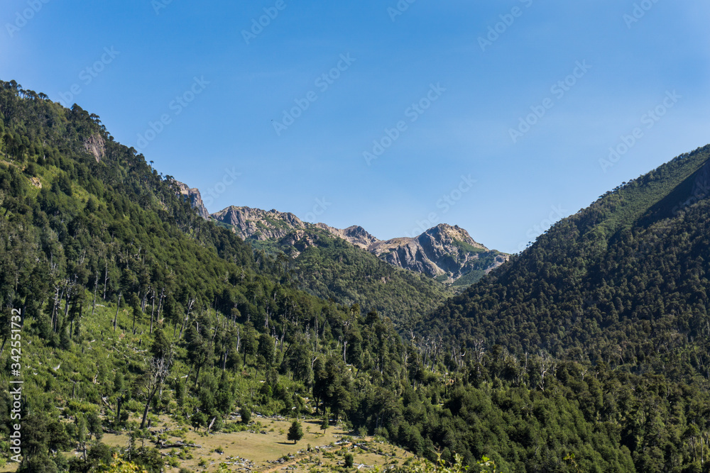 Entre los cerros de Icalma, Chile