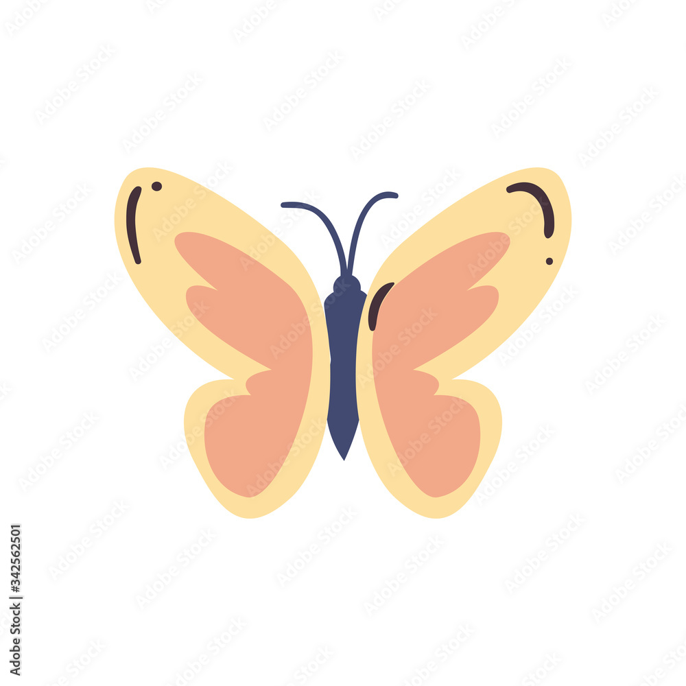 cute butterfly insect flat style icon vector design cute butterfly insect flat style icon vector design