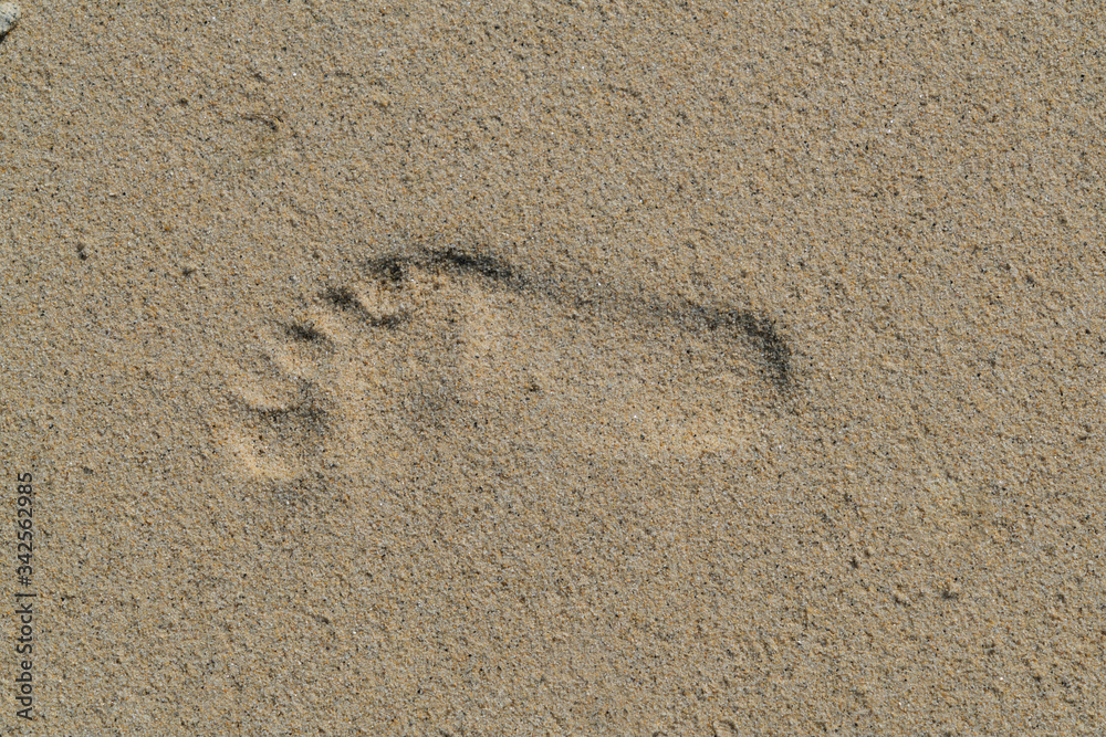 Single Barefoot Footprint Impression in the Sand on the Beach Single Barefoot Footprint Impression in the Sand on the Beach
