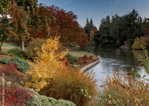 UC Davis Arboretum in the Autumn featuring yellow and red colors selected on lake