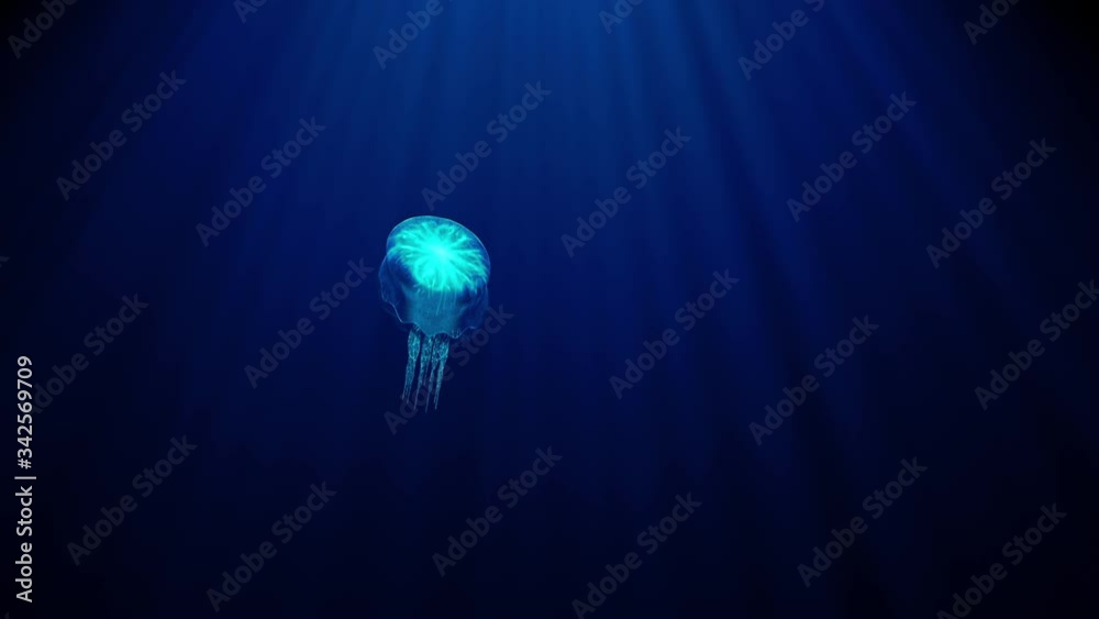 luminous transparent jellyfish slowly floats deep under water in the rays of light. bioluminescent pattern on the body shimmers with all the colors of the rainbow 3d render uhd 4k 3840 2160 luminous transparent jellyfish slowly floats deep under water in the rays of light. bioluminescent pattern on the body shimmers with all the colors of the rainbow 3d render uhd 4k 3840 2160