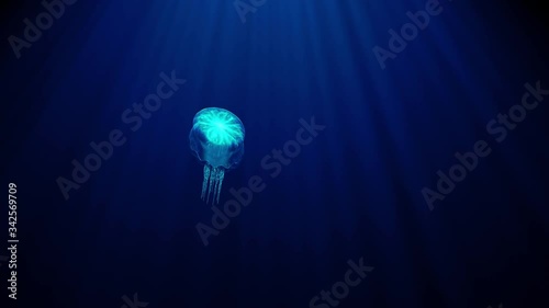 luminous transparent jellyfish slowly floats deep under water in the rays of light. bioluminescent pattern on the body shimmers with all the colors of the rainbow 3d render uhd 4k 3840 2160