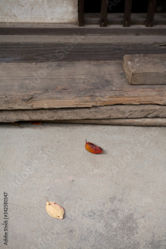 Two lonely dried leaves on pavement