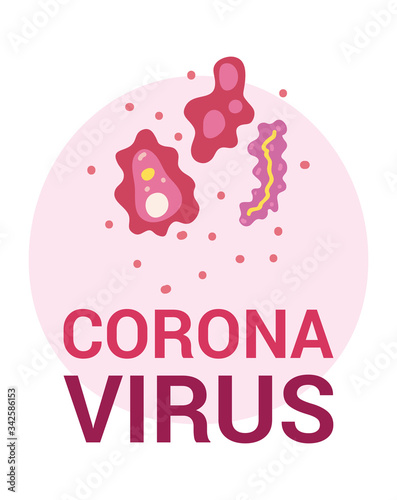 Isolated coronavirus bacterium vector design