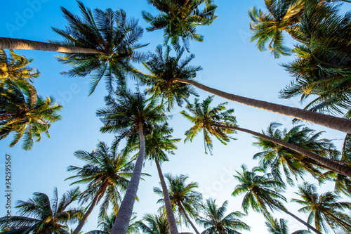 DREAM BEACH WITH PALM TREES ON THE WHITE SAND  SUN LOUNGERS  TURQUOISE OCEAN AND BEAUTIFUL CLOUDS IN THE SKY. NAM DU ISLAND  VIETNAM