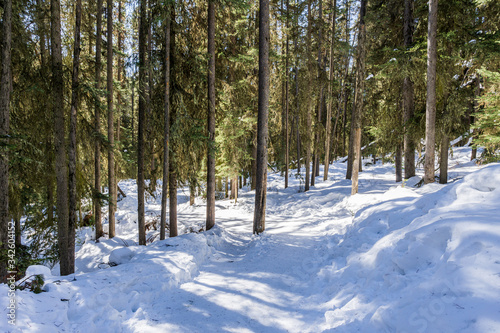path in the forest winter landscape hiking trail. © olegmayorov