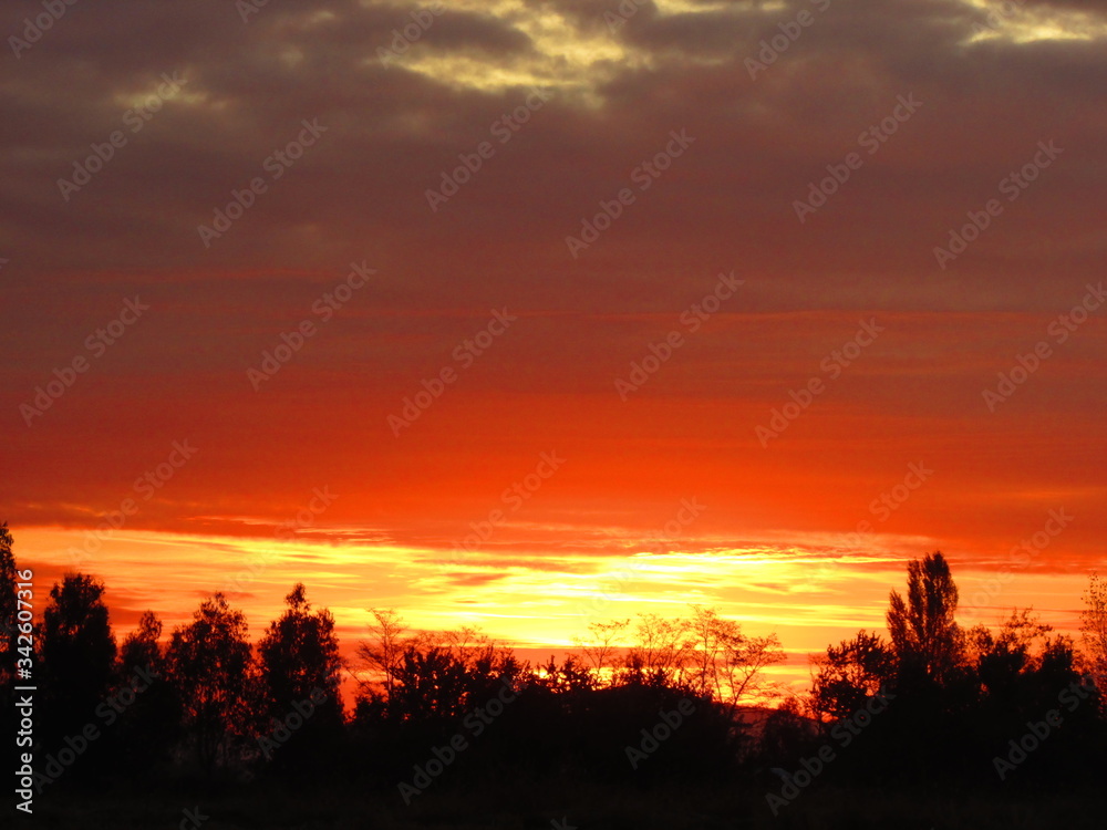 Atardecer. Cielo y árboles. Colores. Fotografía de paisajes. Atardecer. Cielo y árboles. Colores. Fotografía de paisajes.