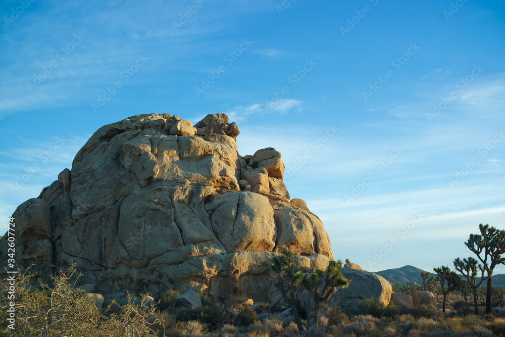 조슈아 트리와 거대한 바위, 거대한 암석들 