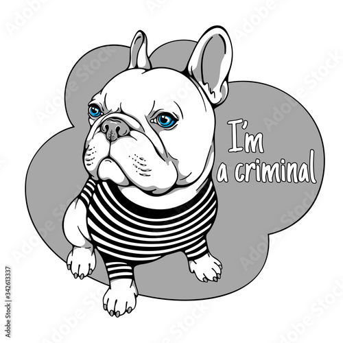 Cartoon french bulldog in a striped T-shirt. Criminal dog. Stylish image for printing on any surface
