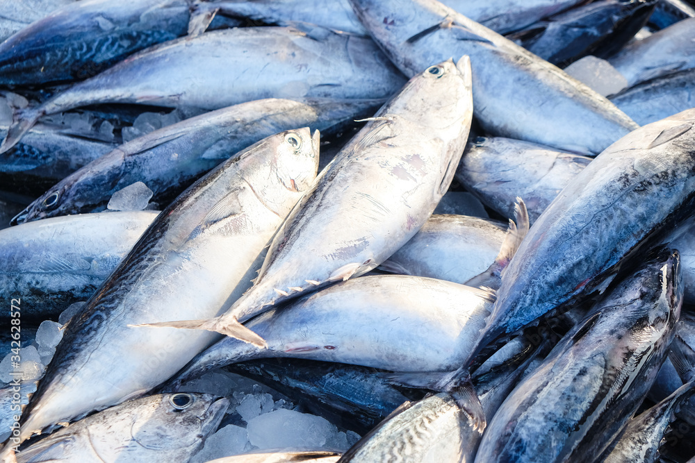 Obraz premium Bundle of tuna sea fish sell in fresh market