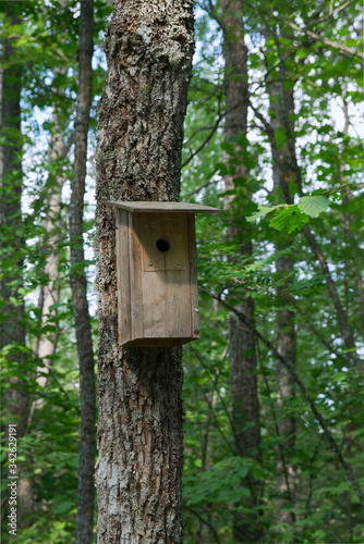 Nest box or birdhouse for birds on tree trunk in spring forest, in Finland.