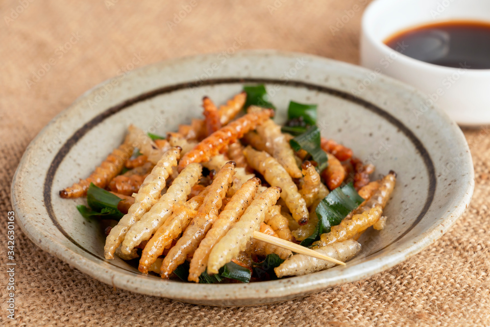 Food Insects: Bamboo worm or Bamboo Caterpillar insect deep-fried crispy for eating as food items in plate on sackcloth, it is good source of protein edible for future food. Entomophagy concept. Food Insects: Bamboo worm or Bamboo Caterpillar insect deep-fried crispy for eating as food items in plate on sackcloth, it is good source of protein edible for future food. Entomophagy concept.