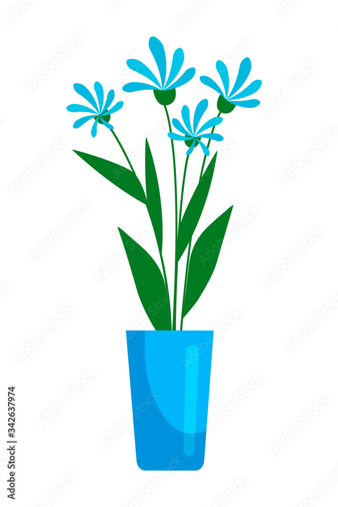 Blue blooming flower in pot isolated on white